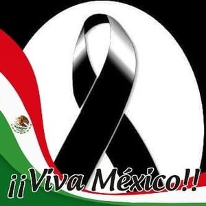 Meet your Posher, Antonio